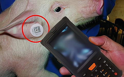 RFIDֳ֙CiB(yng)ֳ